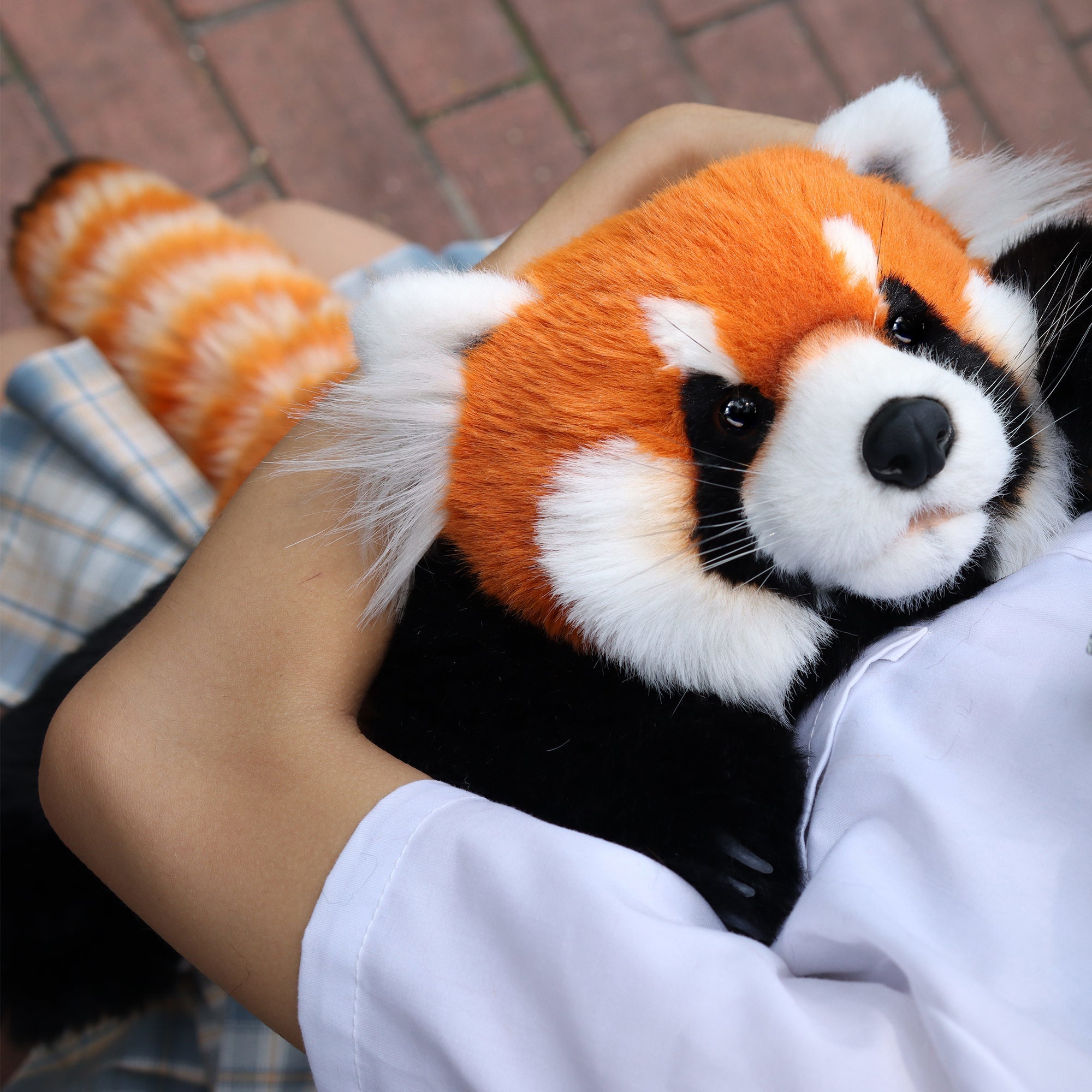 Red Panda Weighted Plush – Snuggle Toy for Relaxation