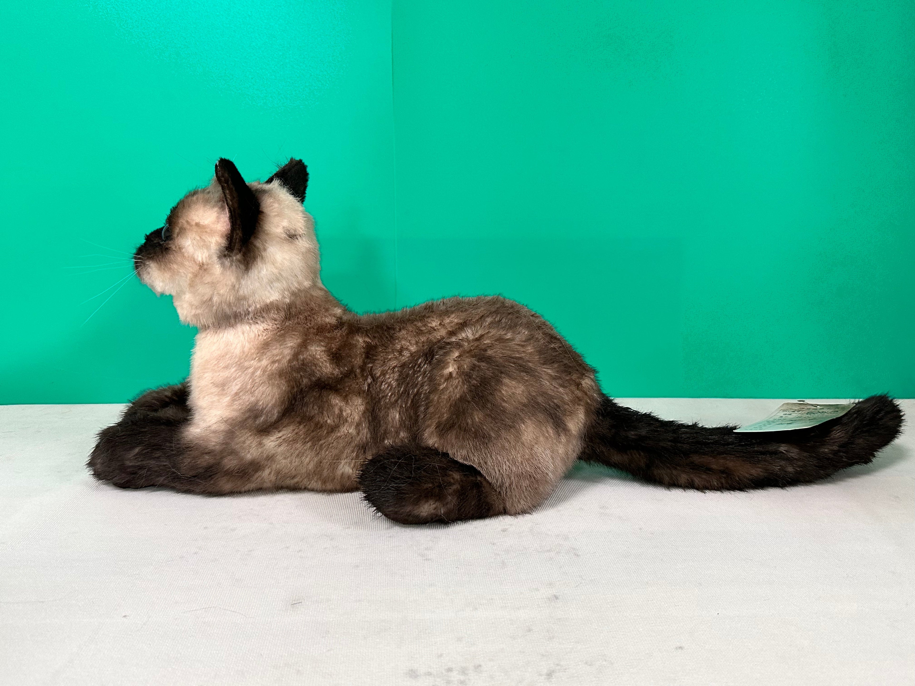 Plush Siamese Shorthair Cat-Weighted-Handmade Life-Size Companion & Pet Memorial