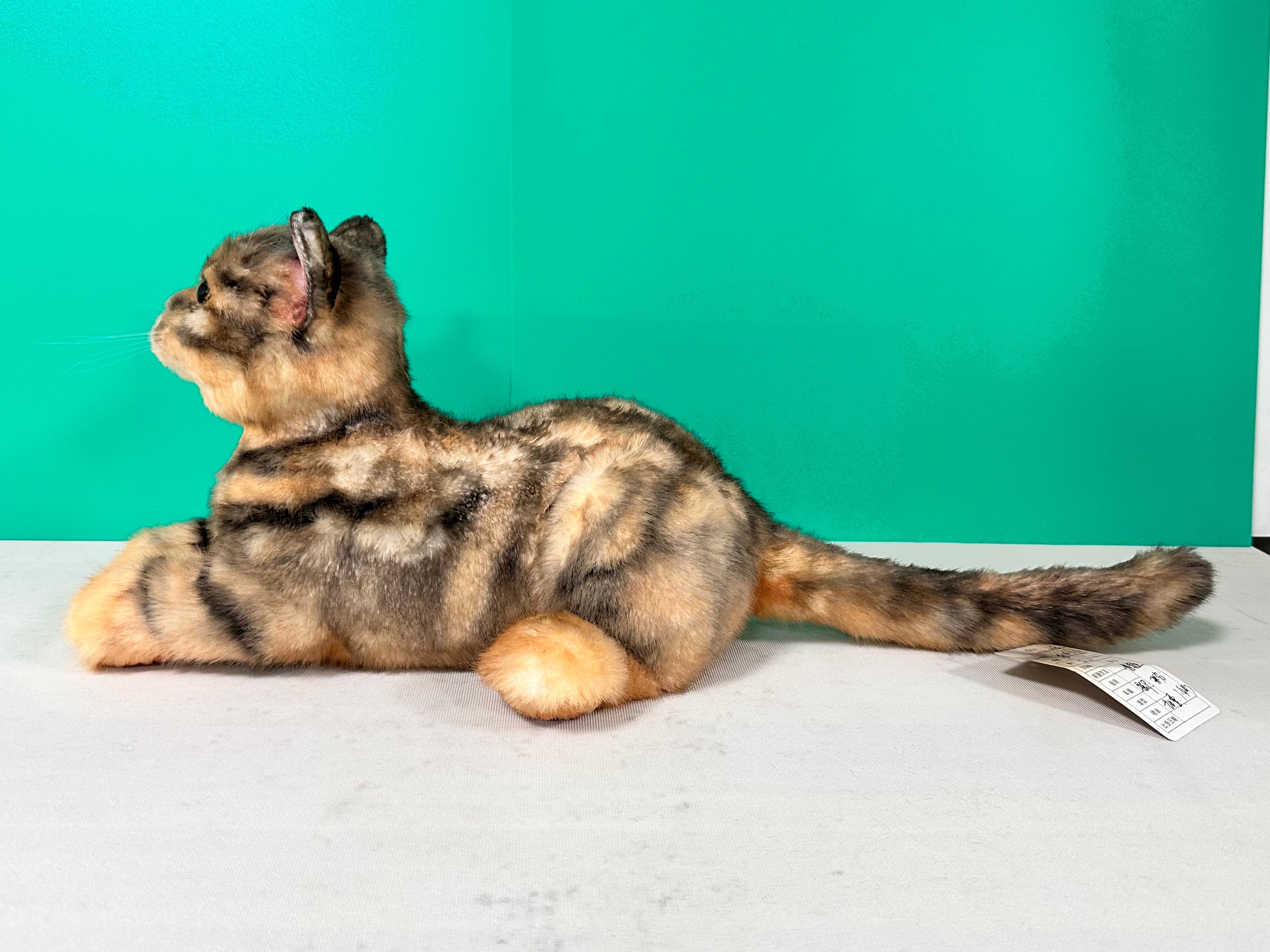 Plush leopard-print cat-Handmade Life-Size Companion & Pet Memorial