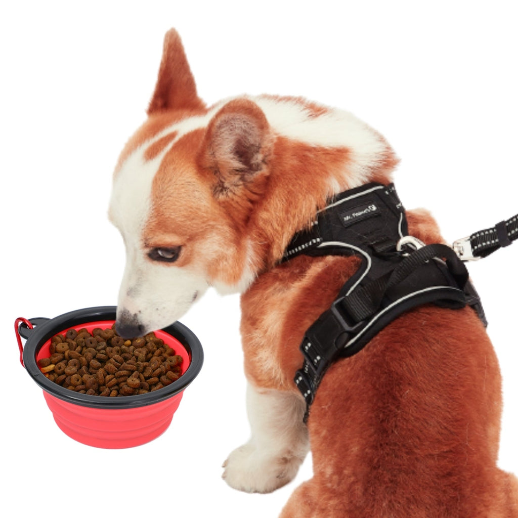 Collapsible Silicone Travel Bowls - 12oz