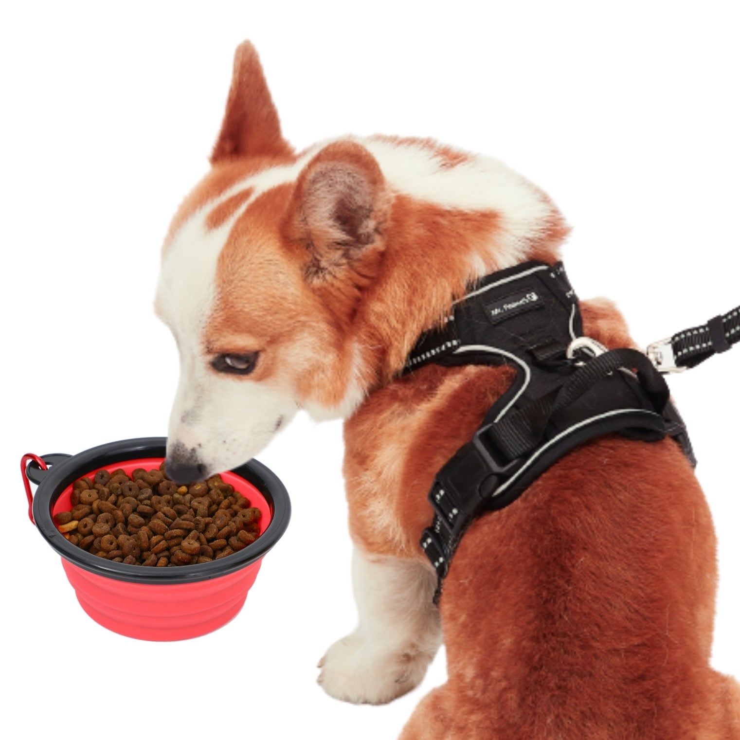 Collapsible Silicone Travel Bowls - 12oz