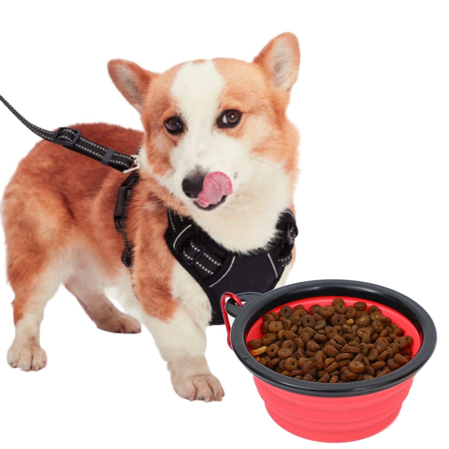 Collapsible Silicone Travel Bowls - 12oz