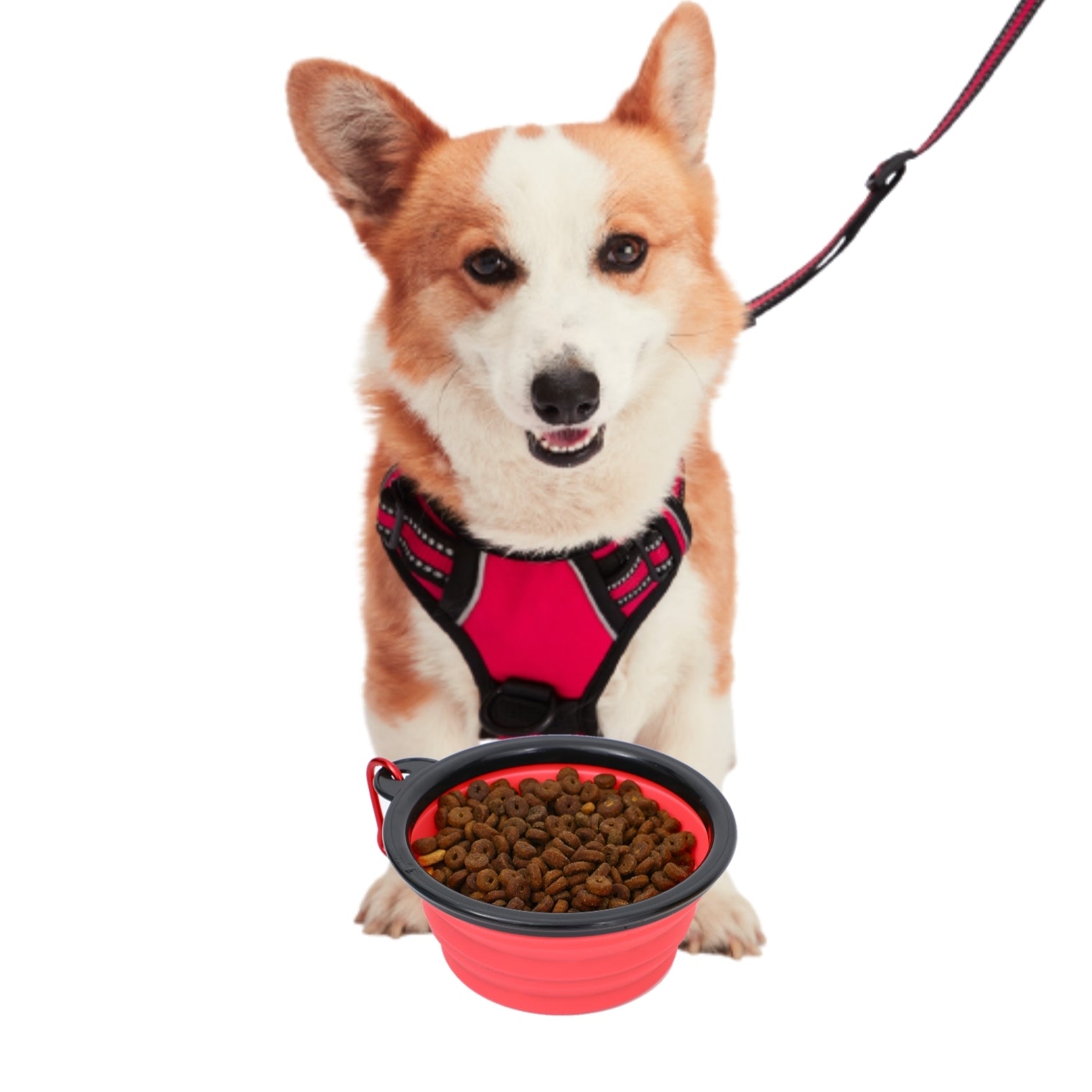 Collapsible Silicone Travel Bowls - 12oz