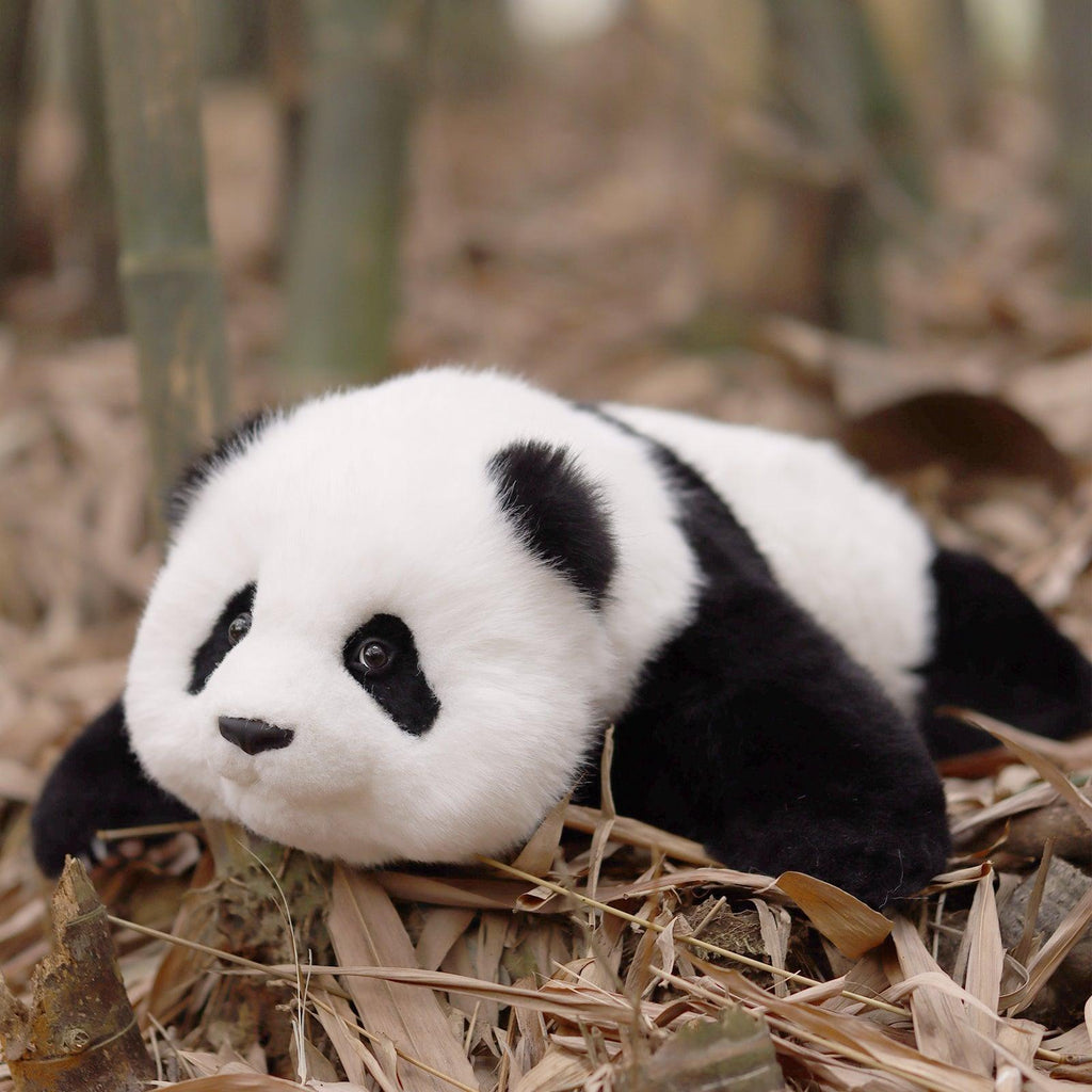 Menglan Panda Weighted – Ultra Realistic Collectible Toy