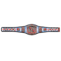 CM Punk WWE Autographed 434 Days As Champion Signature Series Replica Title Belt