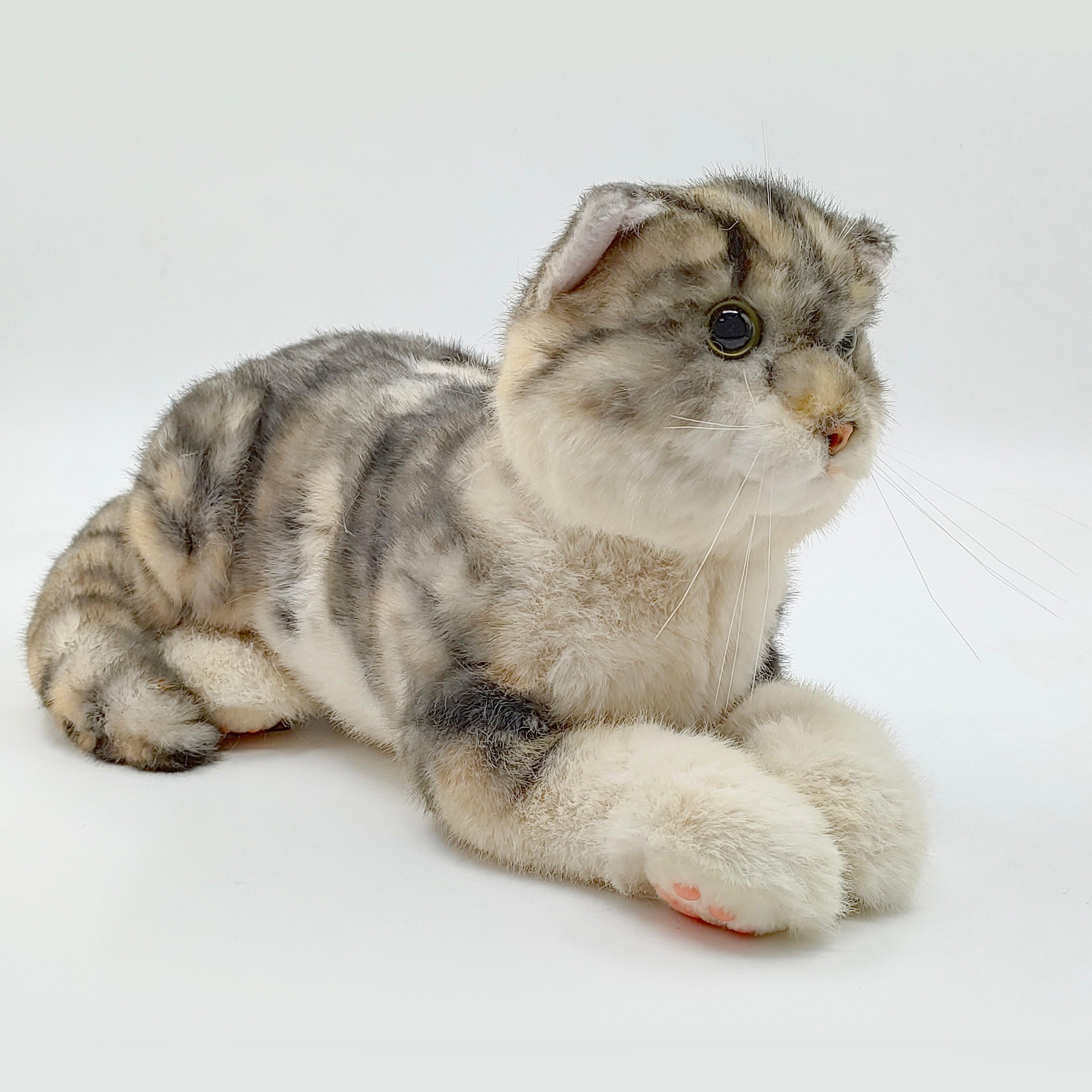 NO.13 Tappy Cat Order to Make