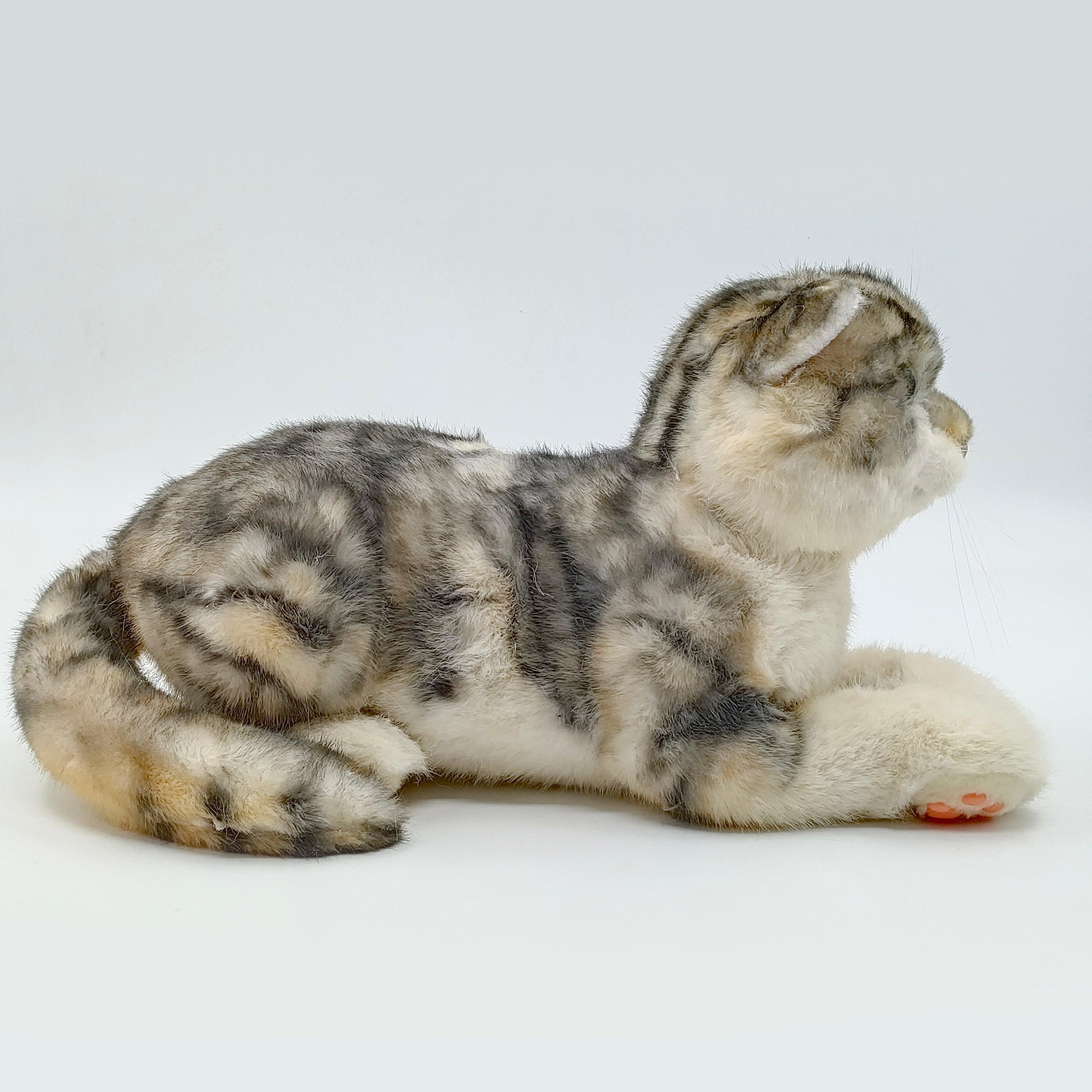 NO.13 Tappy Cat Order to Make