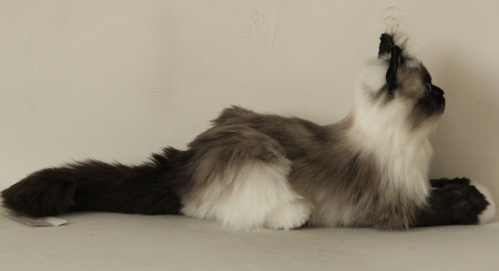 Plush Siamese Cat Longhair Weighted -Handmade Life-Size Companion & Pet Memorial