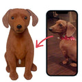 Custom Pet Plush from Photo – Memorial Keepsake for Dogs & Cats