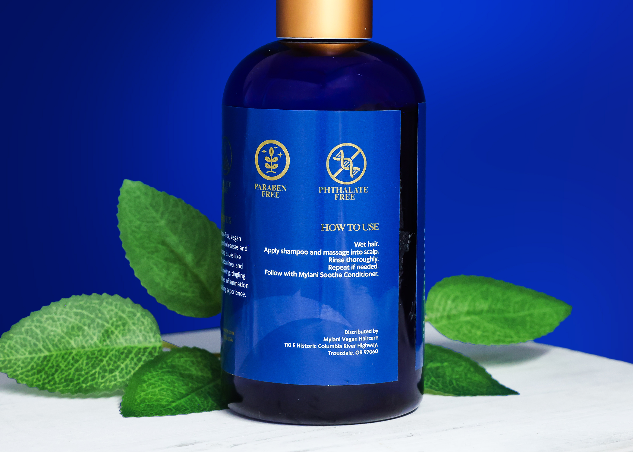 Treat Shampoo – Scalp Reset & Refresh
