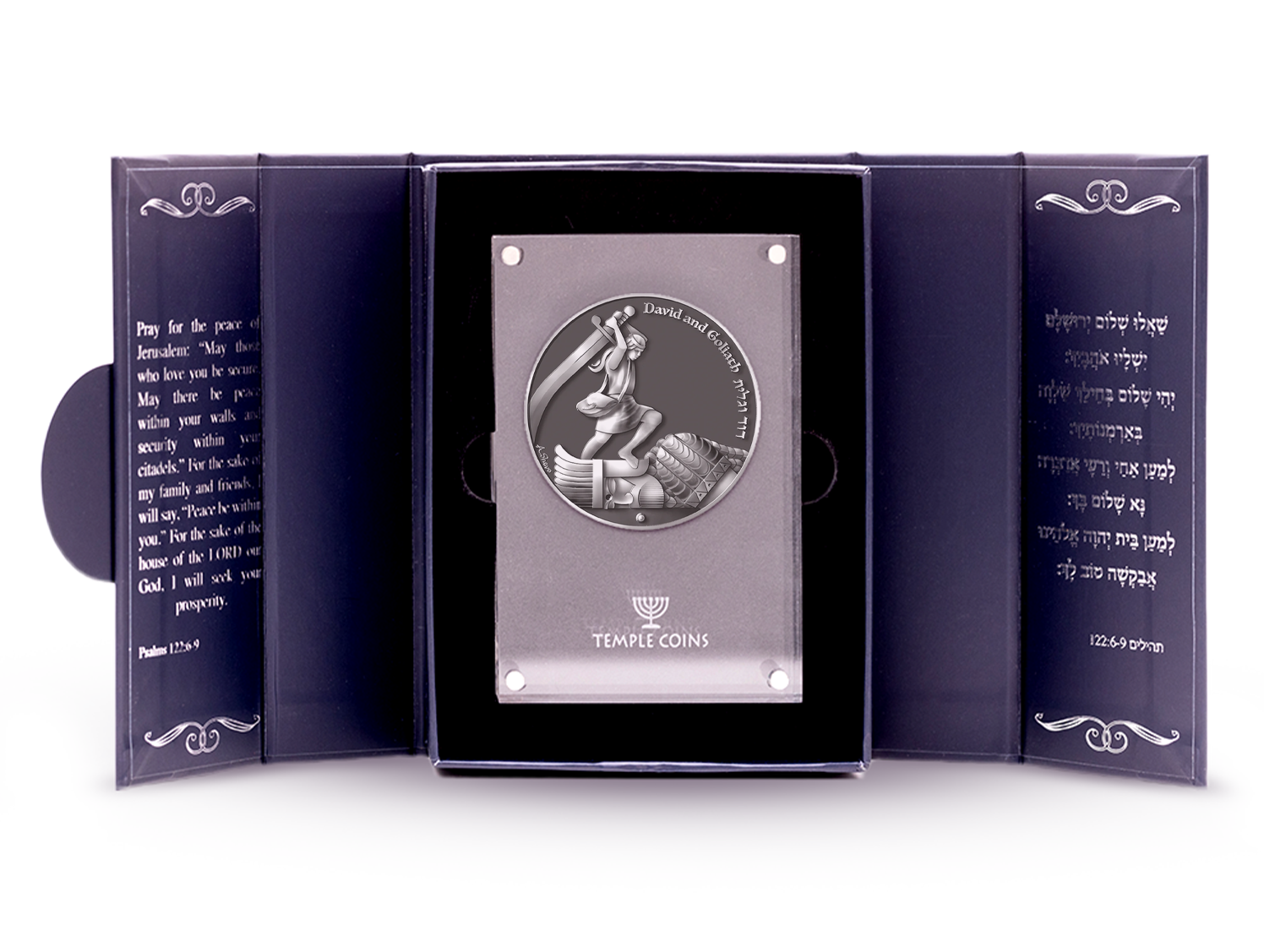 King David's Victory Temple Coin