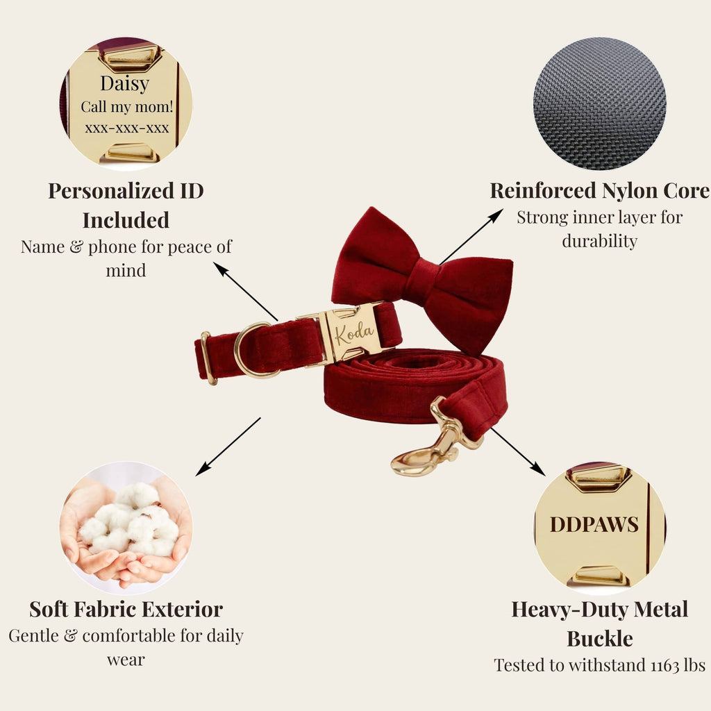 Red Wine Velvet Set
