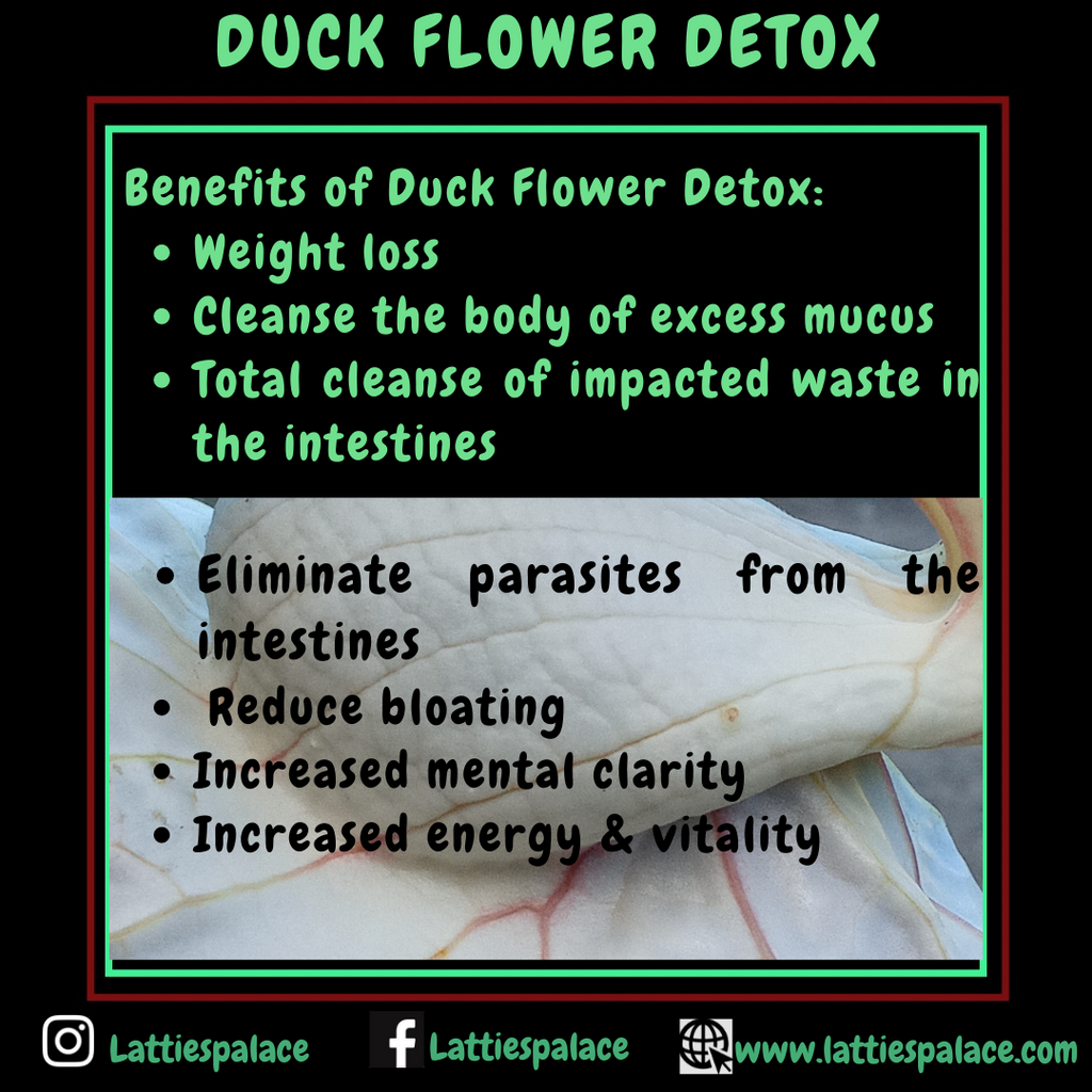 Duck Flower