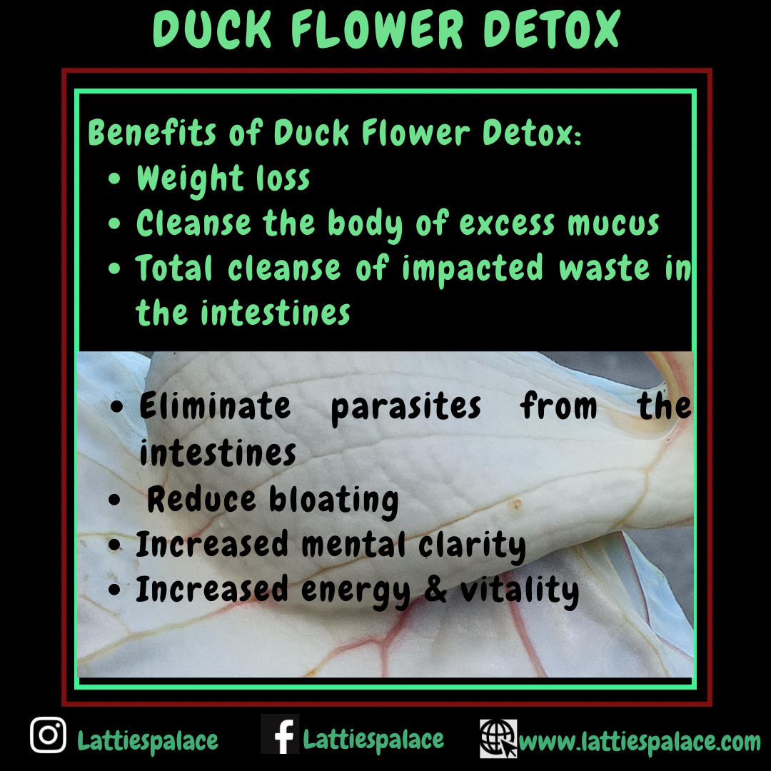 Duck Flower