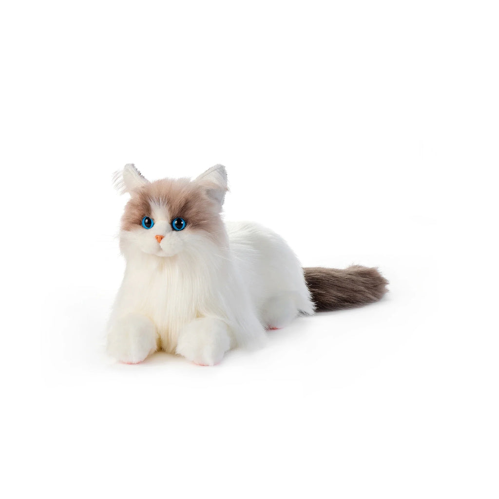 Ragdoll Weighted Plush – Realistic Cozy Calming Toy