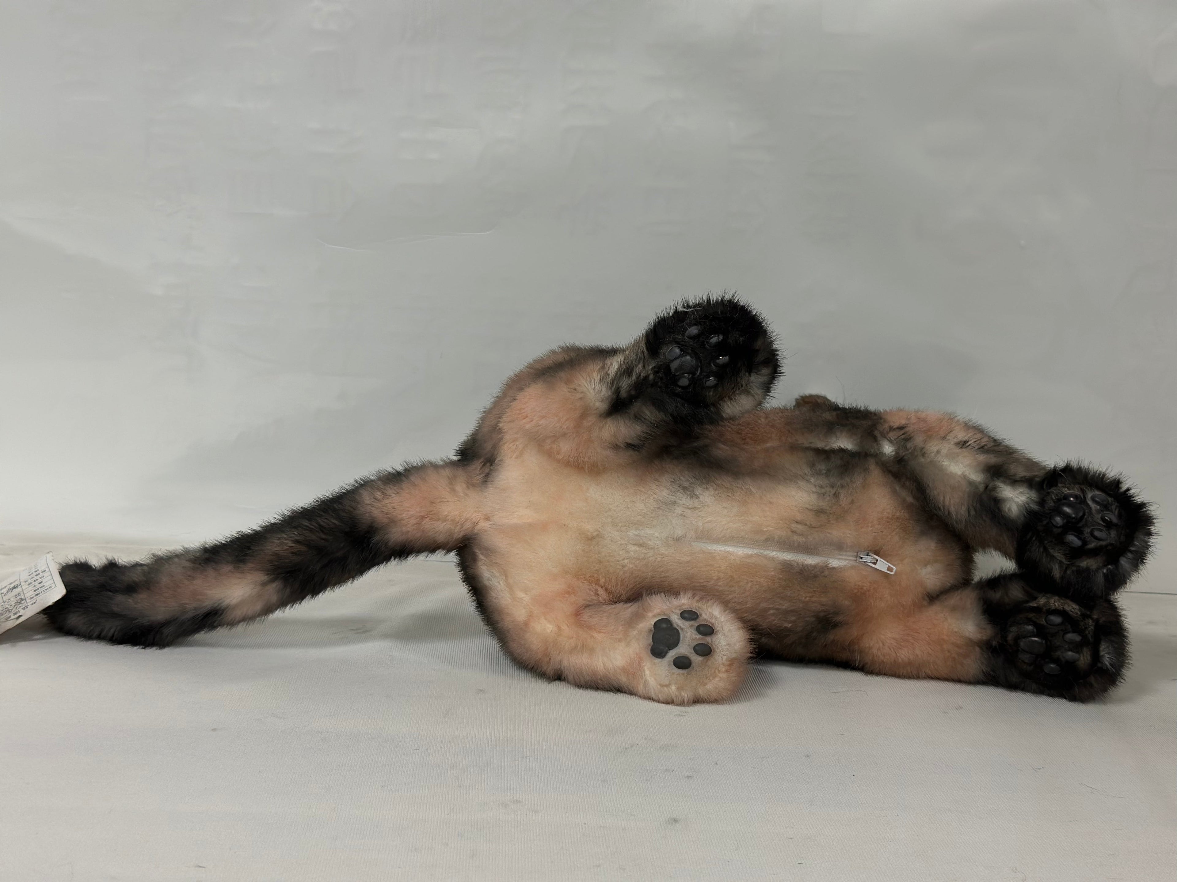 Plush Tortoiseshell Cat Shorthair- Handmade Life-Size Companion & Pet Memorial
