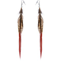 Natural Beauty Feather Earrings