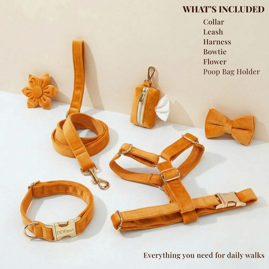 Orange Velvet Set