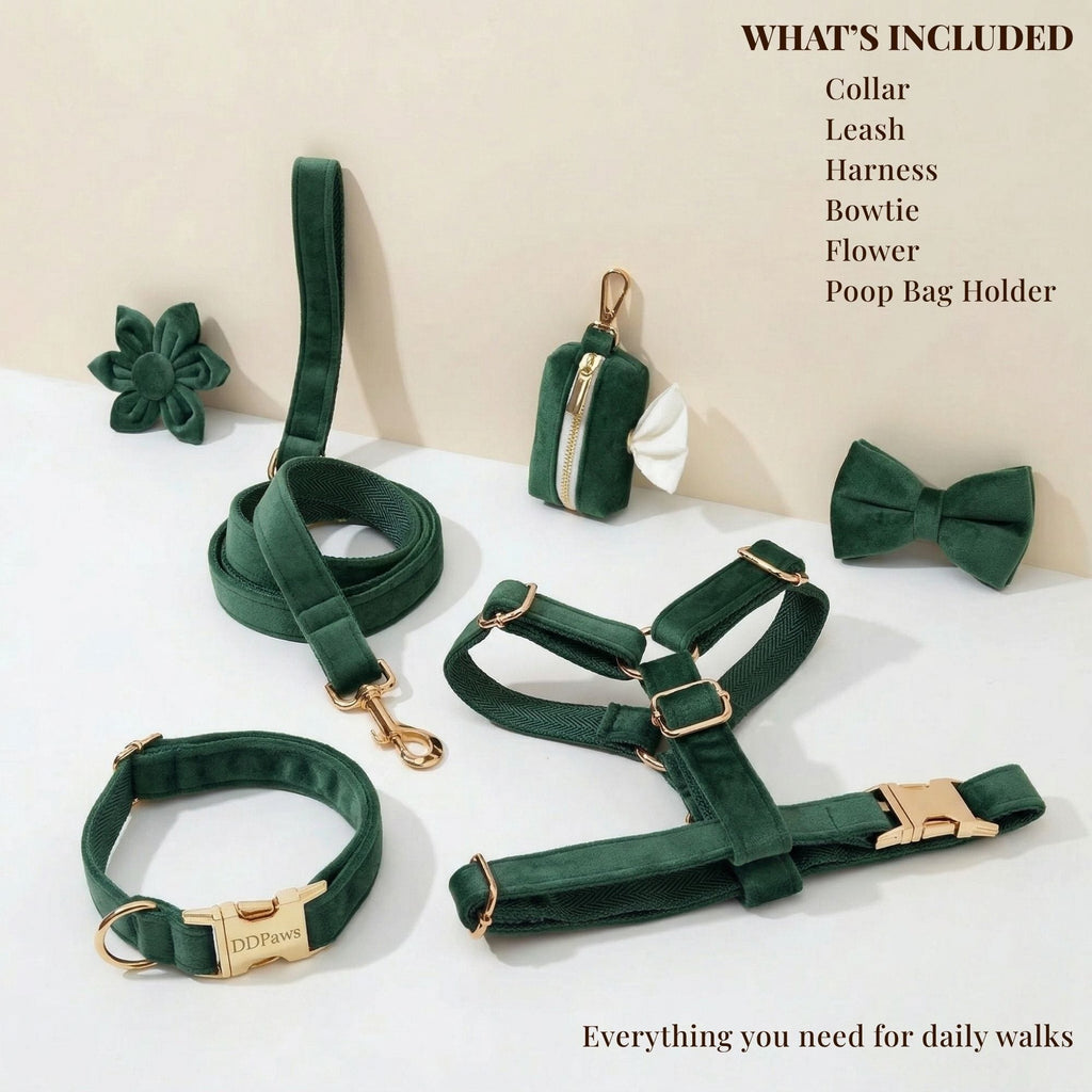 Velvet Forest Teal Set