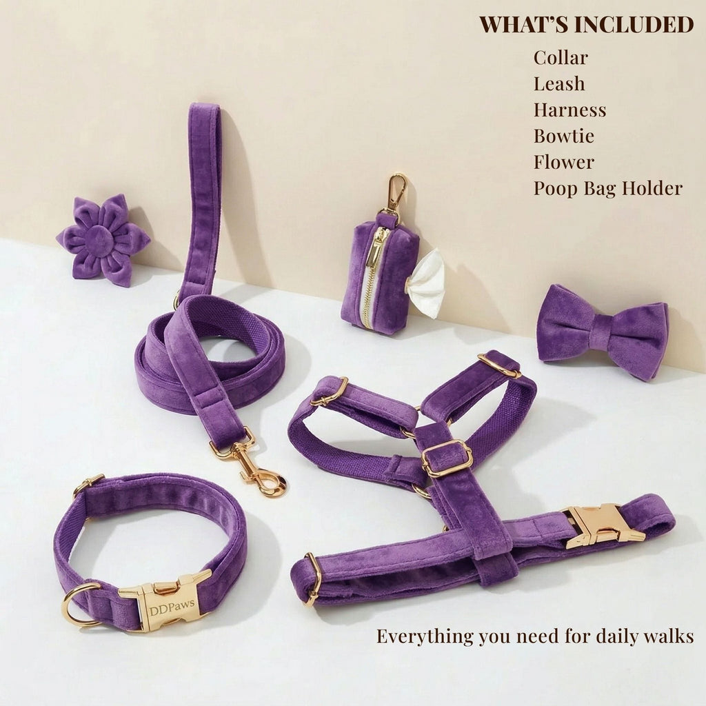 Velvet Purple Set