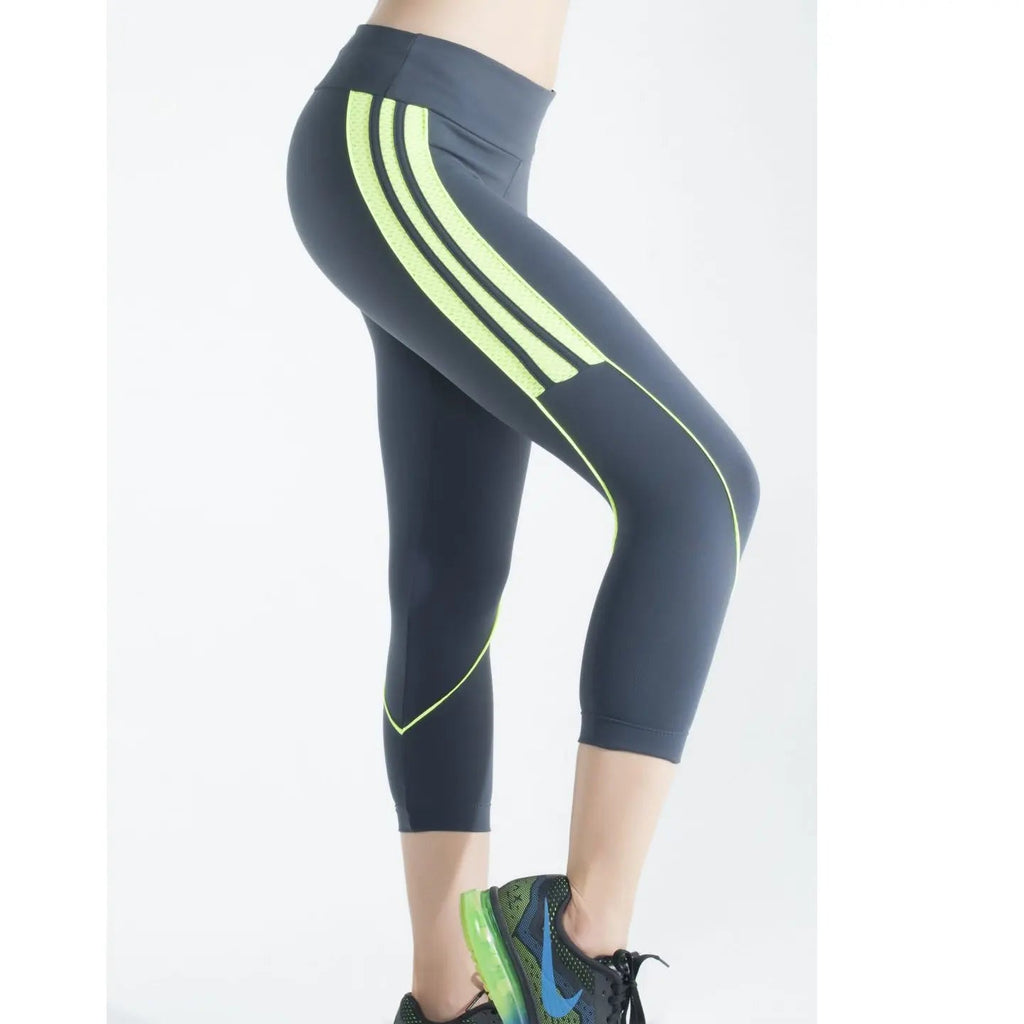 WISDOM CAPRI