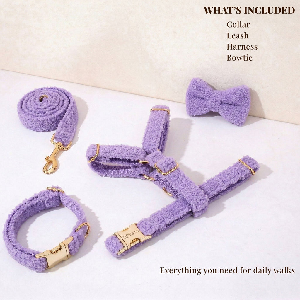 Teddy Purple Set