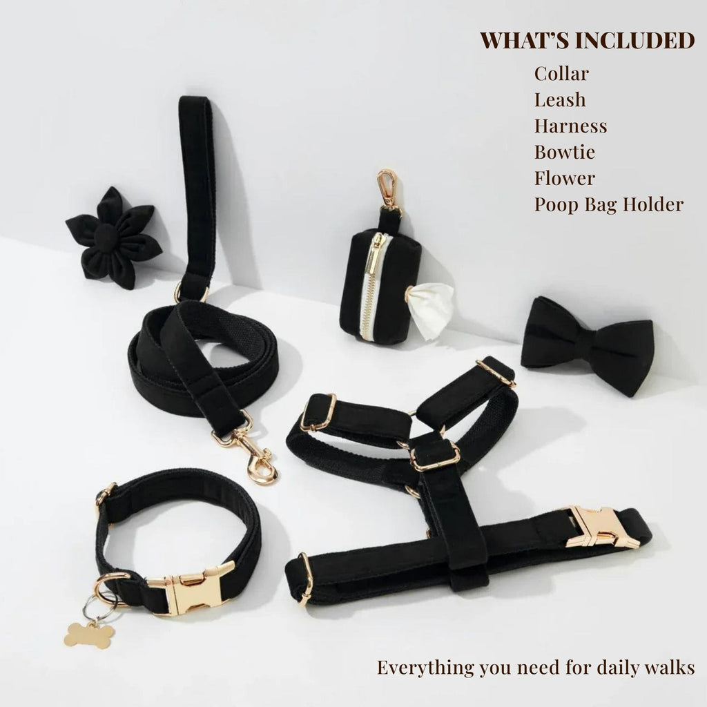 Black Velvet Set