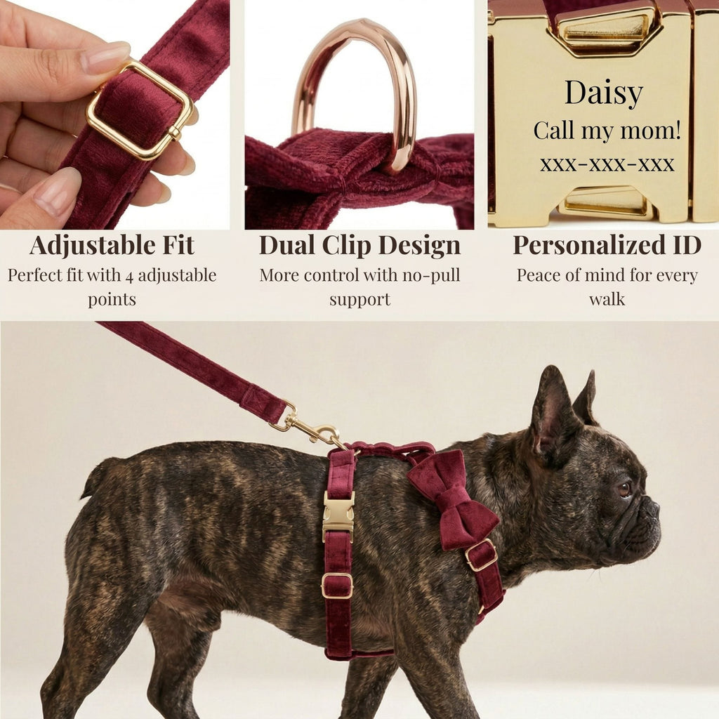 Red Wine Velvet Set