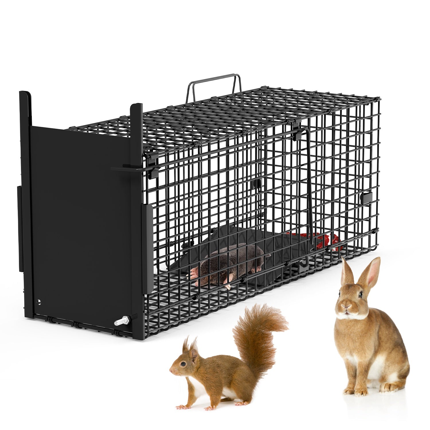 26in Single Door Live Animal Cage Trap For Animals Under 5LBS Easy To Setup Humane Galvanized Iron Trap Cage For Small Cats Rabbits Squirrels Moles Ch
