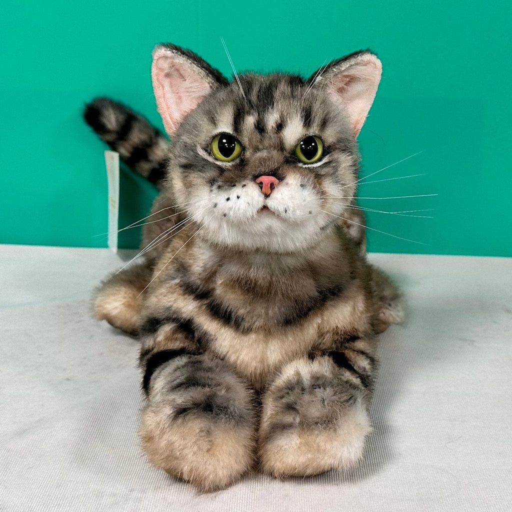 Plush American Shorthair Weighted-Handmade Life-Size Companion & Pet Memorial