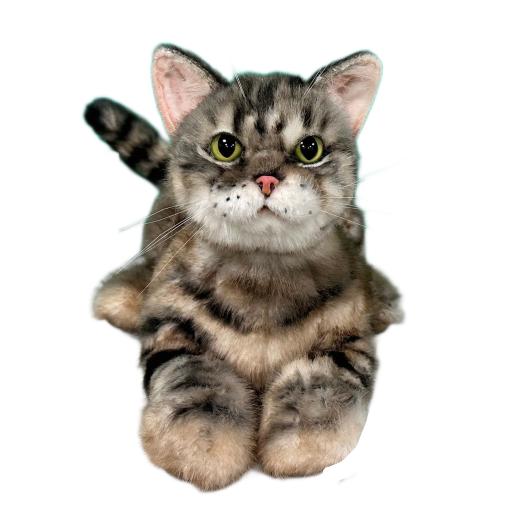 Plush American Shorthair Weighted-Handmade Life-Size Companion & Pet Memorial