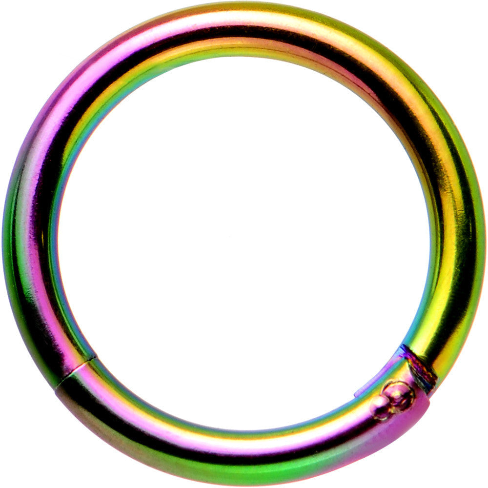 16G 5/16 Rainbow Anodized Hinged Segment Ring