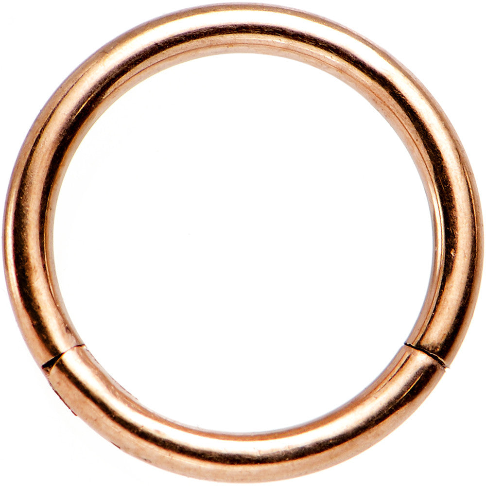 16G 5/16 Rose Gold Tone Hinged Segment Ring