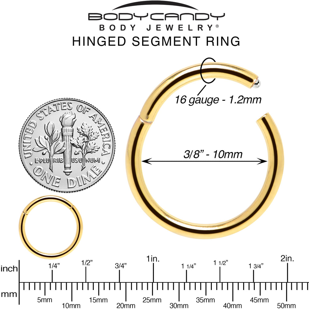 16G 3/8 Gold Tone Anodized Hinged Segment Ring