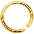 20G 1/4 Gold IP Annealed Steel Seamless Circular Ring