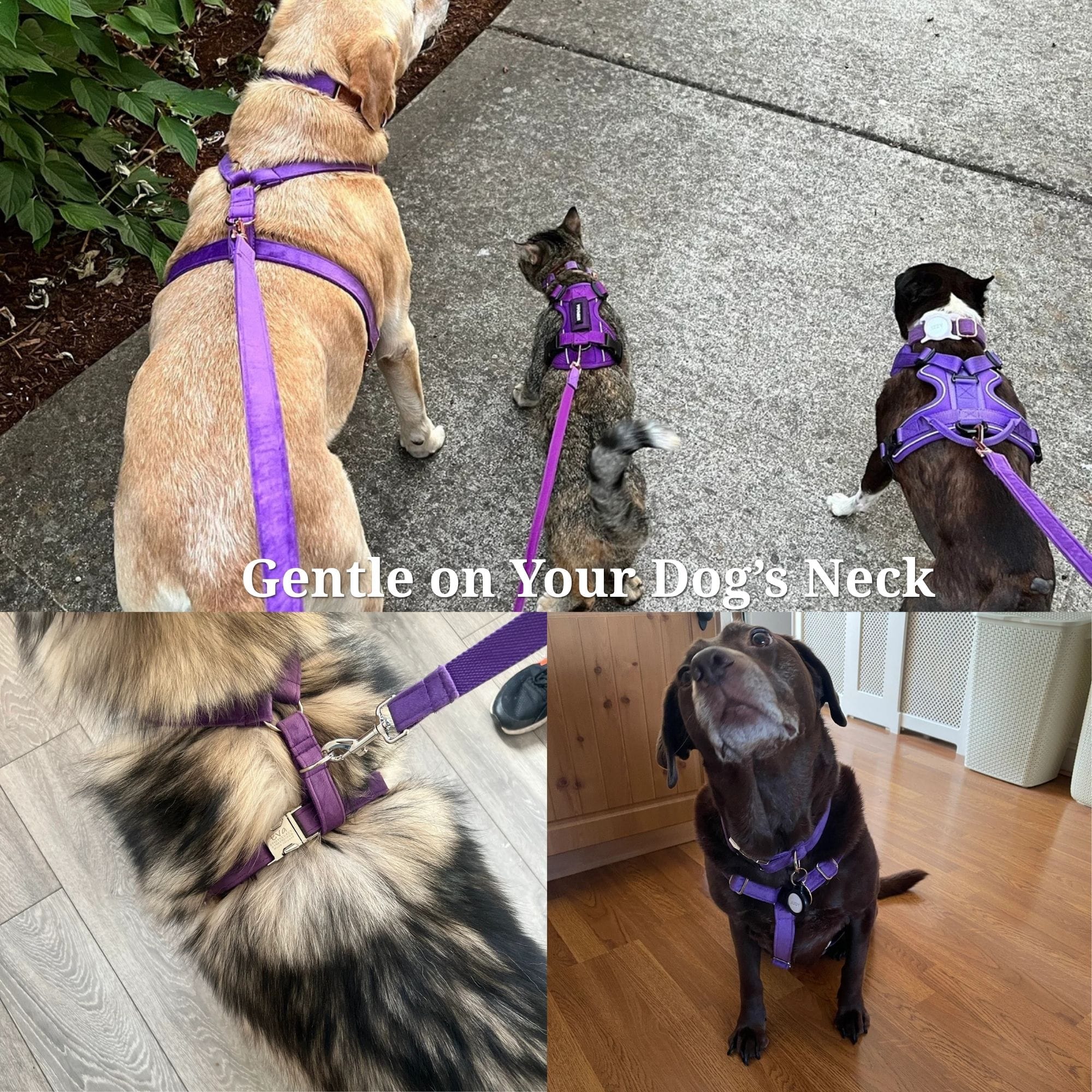 Velvet Purple Set