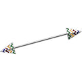 14G Rainbow Chevron End with an Arrow Industrial Barbell 38mm