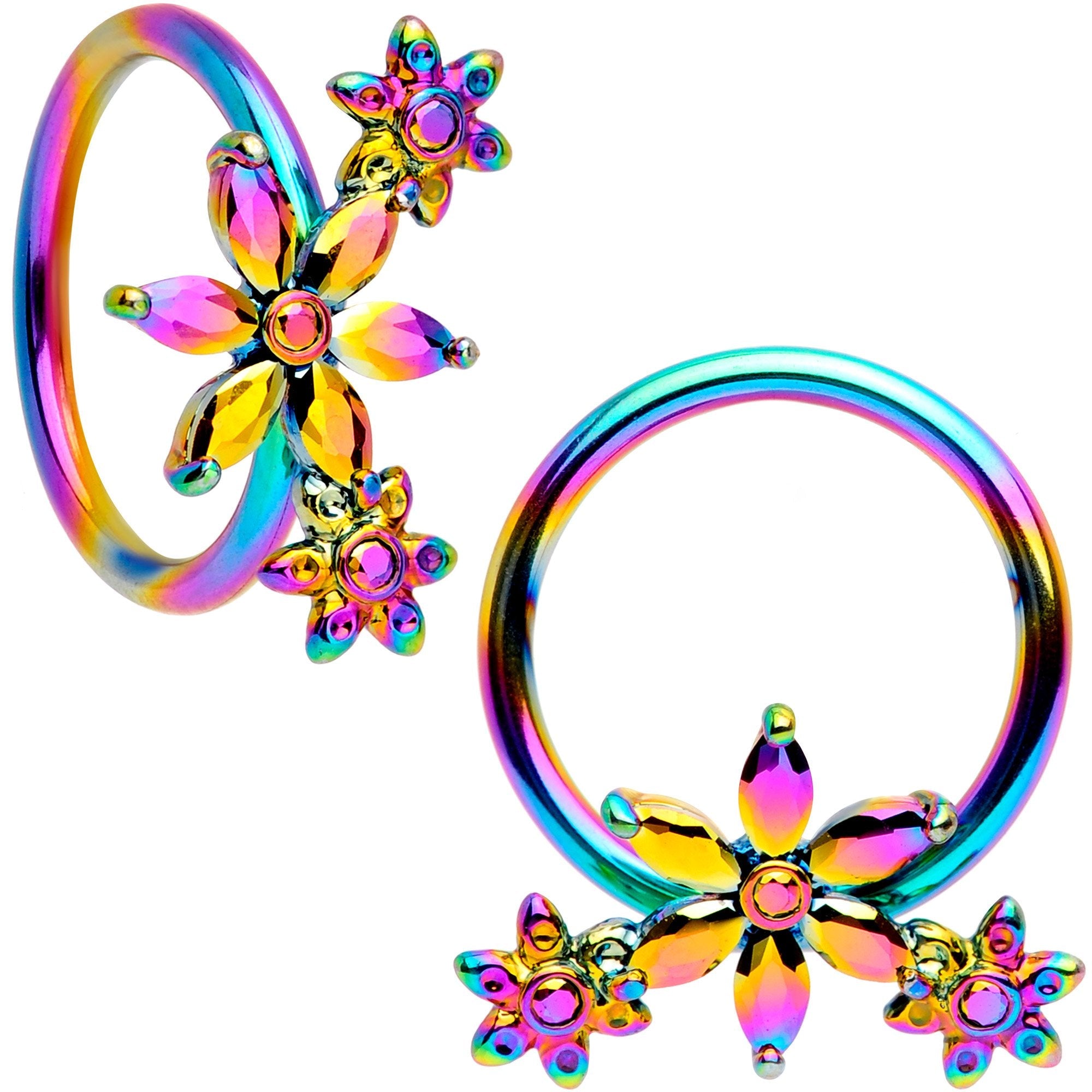 16G 3/8 Rainbow Flower Power Horseshoe BCR Captive Ring Set