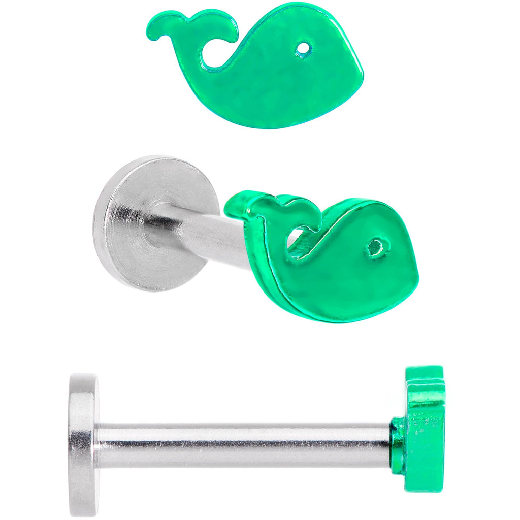16G 5/16 Multicolor Internally Threaded Whale Labret Set of 4