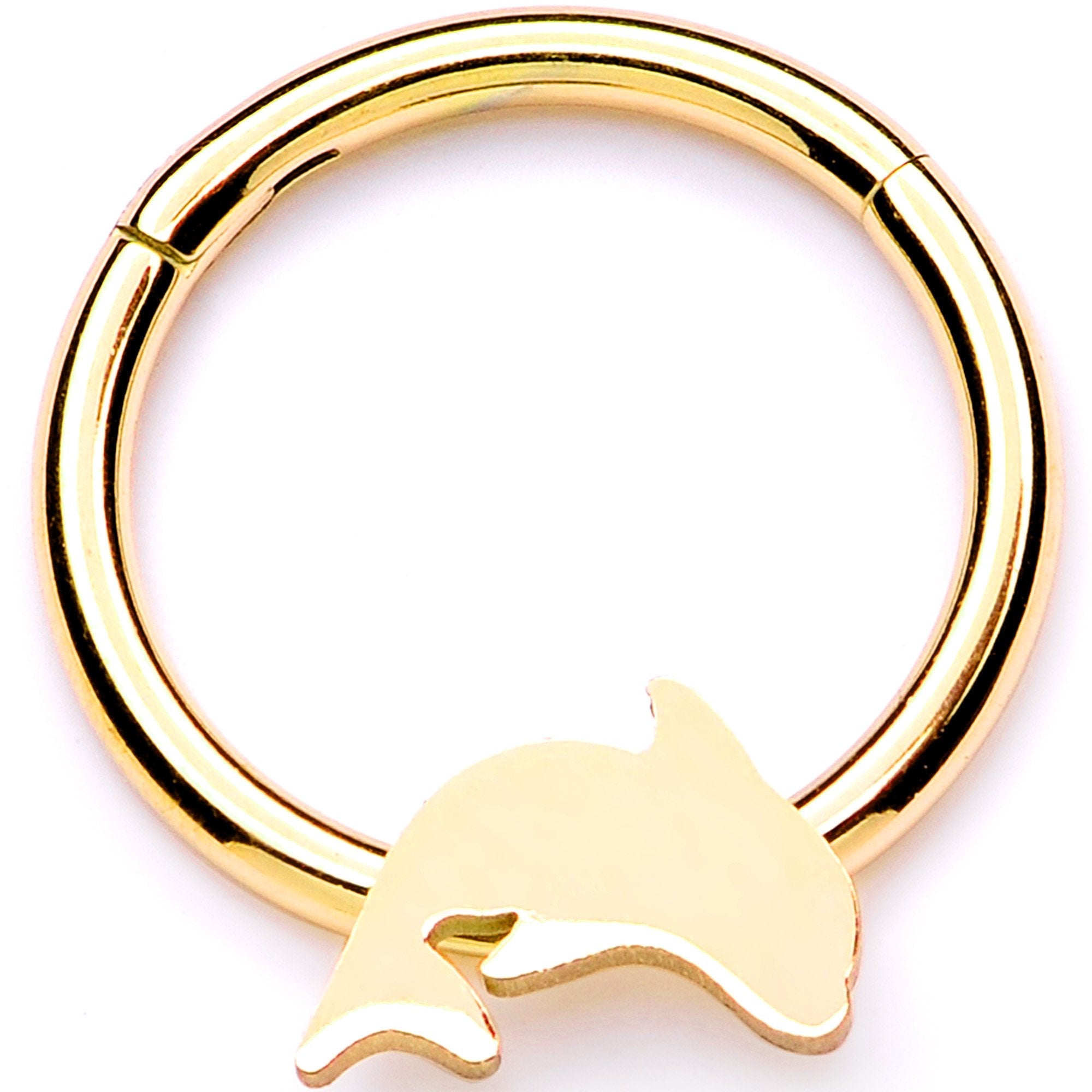 16G 3/8 Gold Tone Leaping Dolphin Hinged Segment Ring