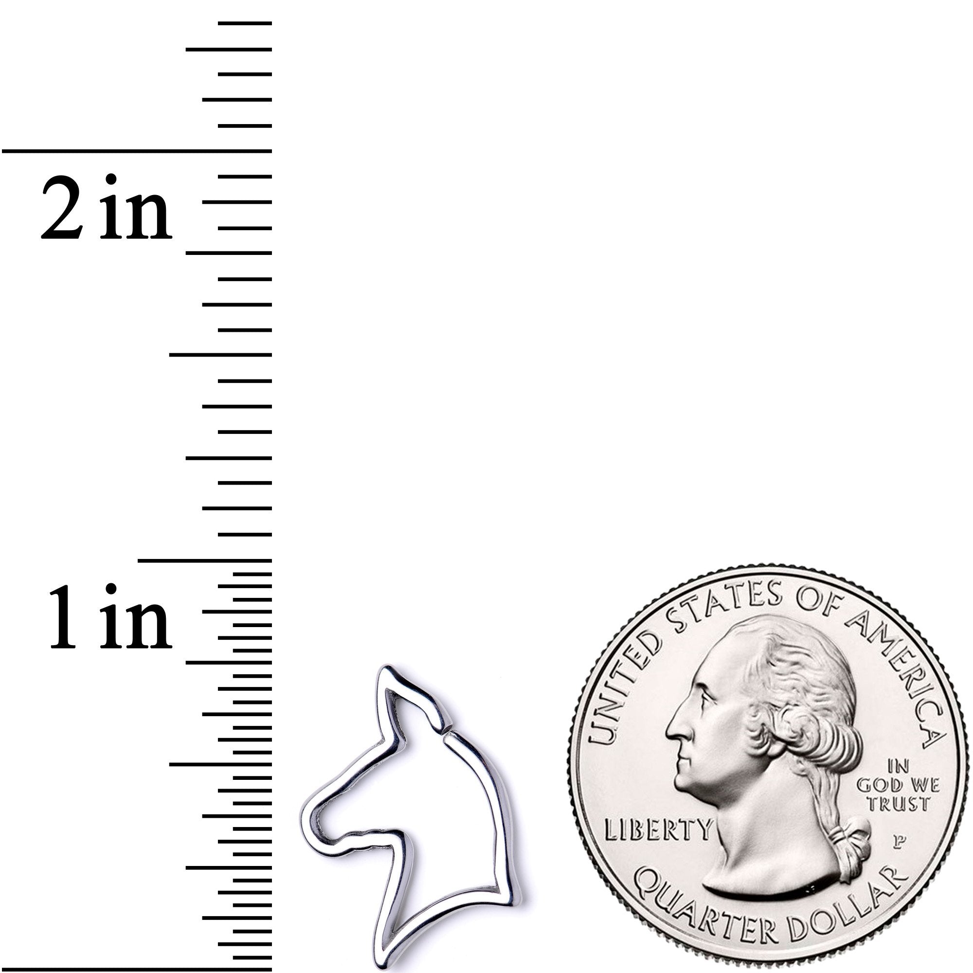 16G 5/16 Darling Doggy Cartilage Closure Ring