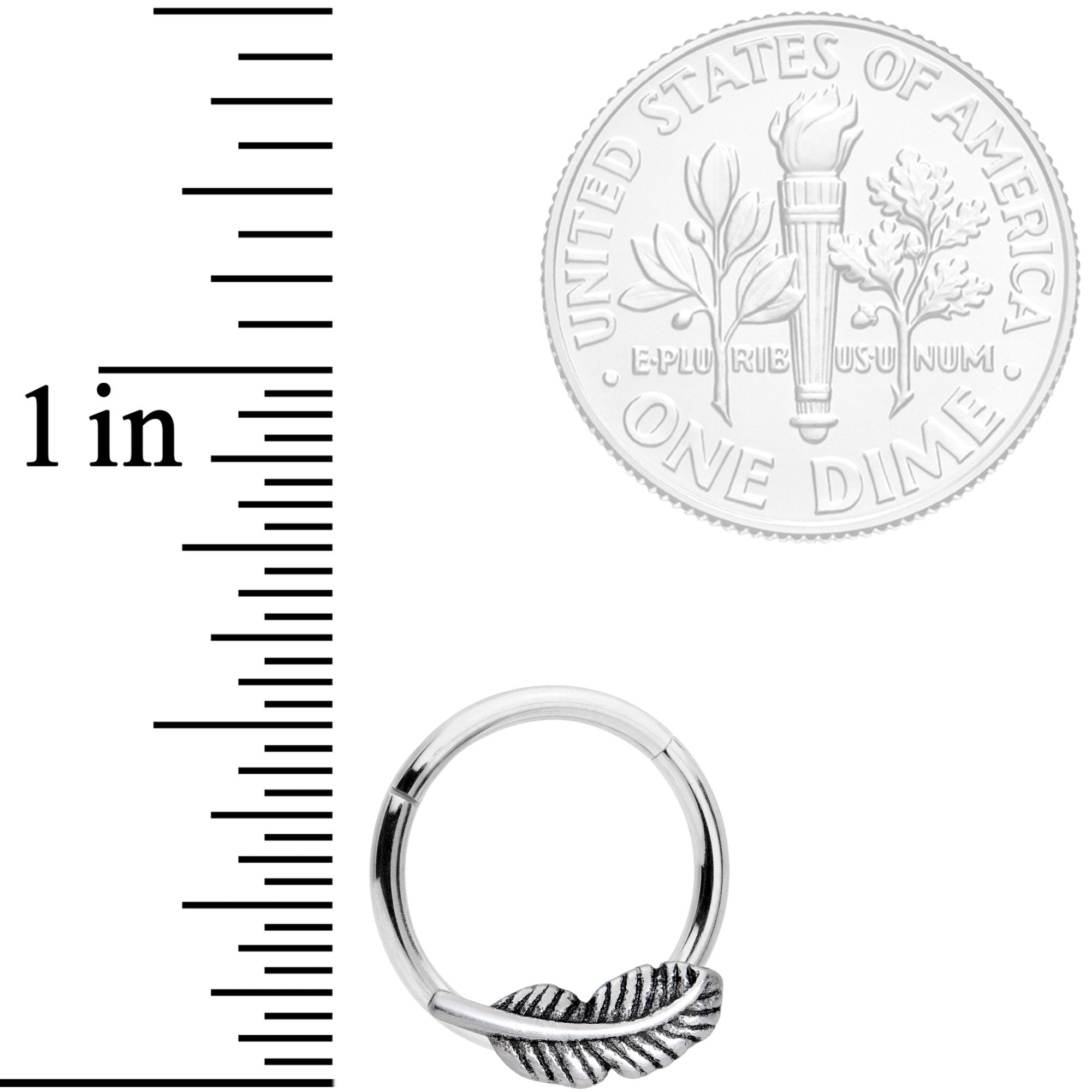 16G 3/8 Southwestern Feather Hinged Segment Ring