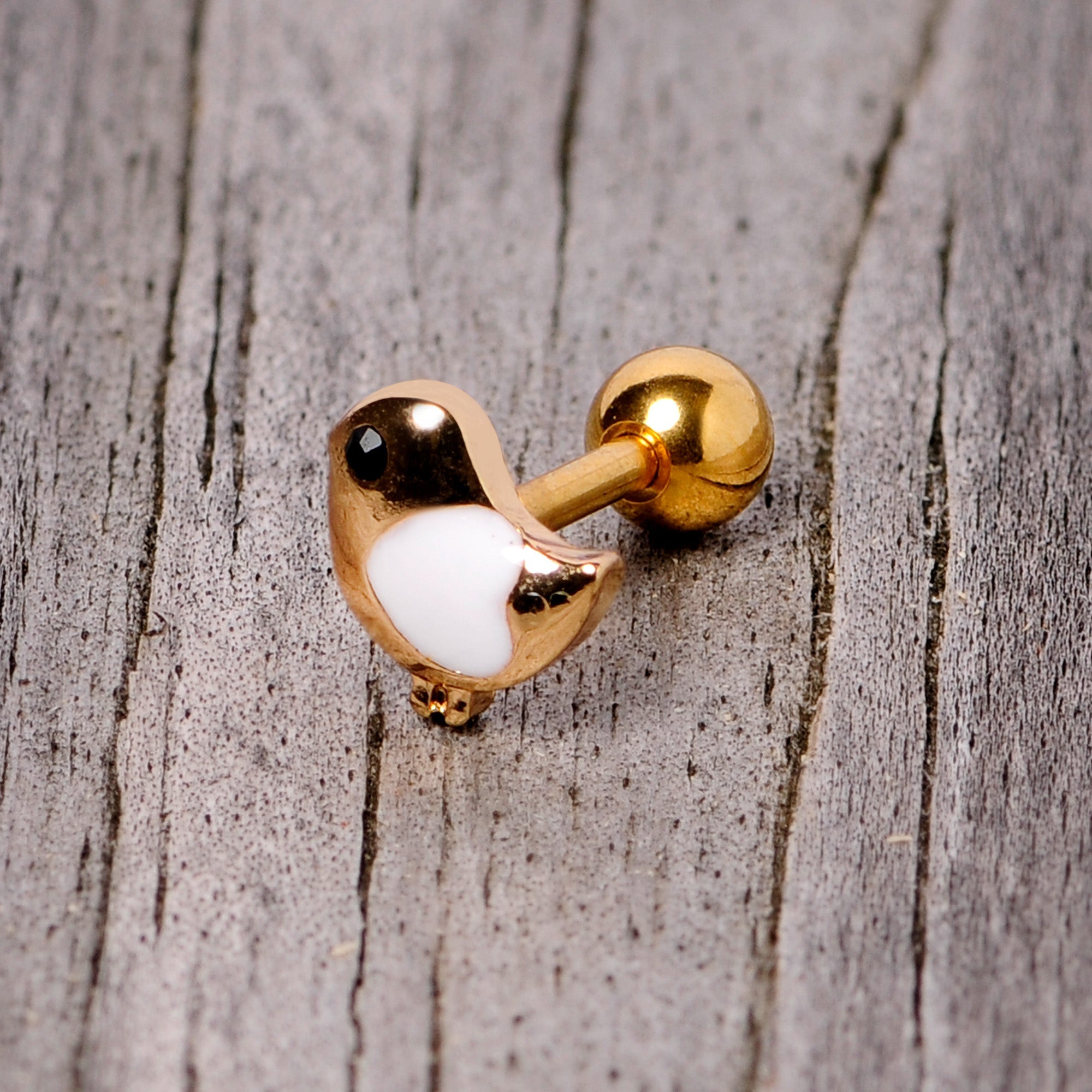 16G 1/4 Black Gem Gold Tone Baby Bird Cartilage Tragus Earring
