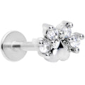 16G 5/16 Clear CZ Gem Paw Print Cat Labret Monroe Tragus