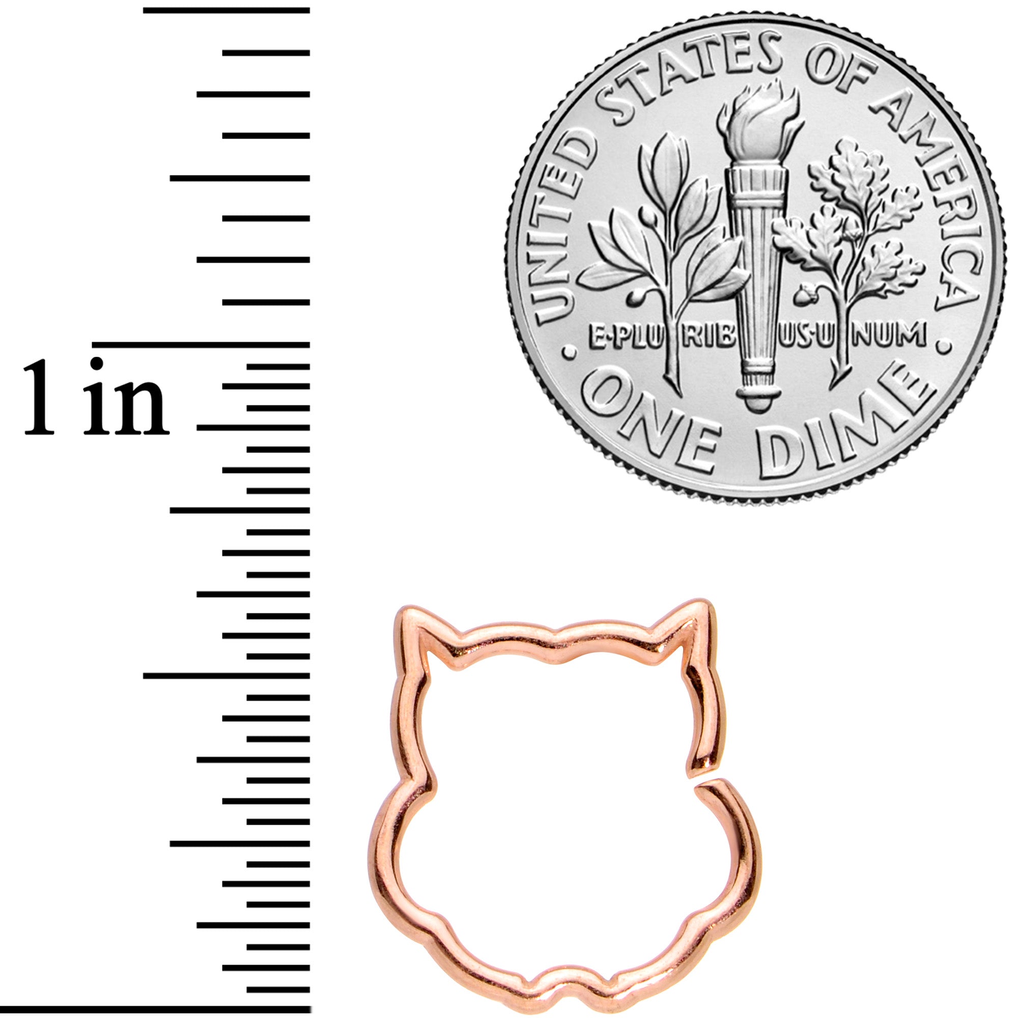 16G 3/8 Rose Gold Tone Barn Owl Halloween Closure Ring