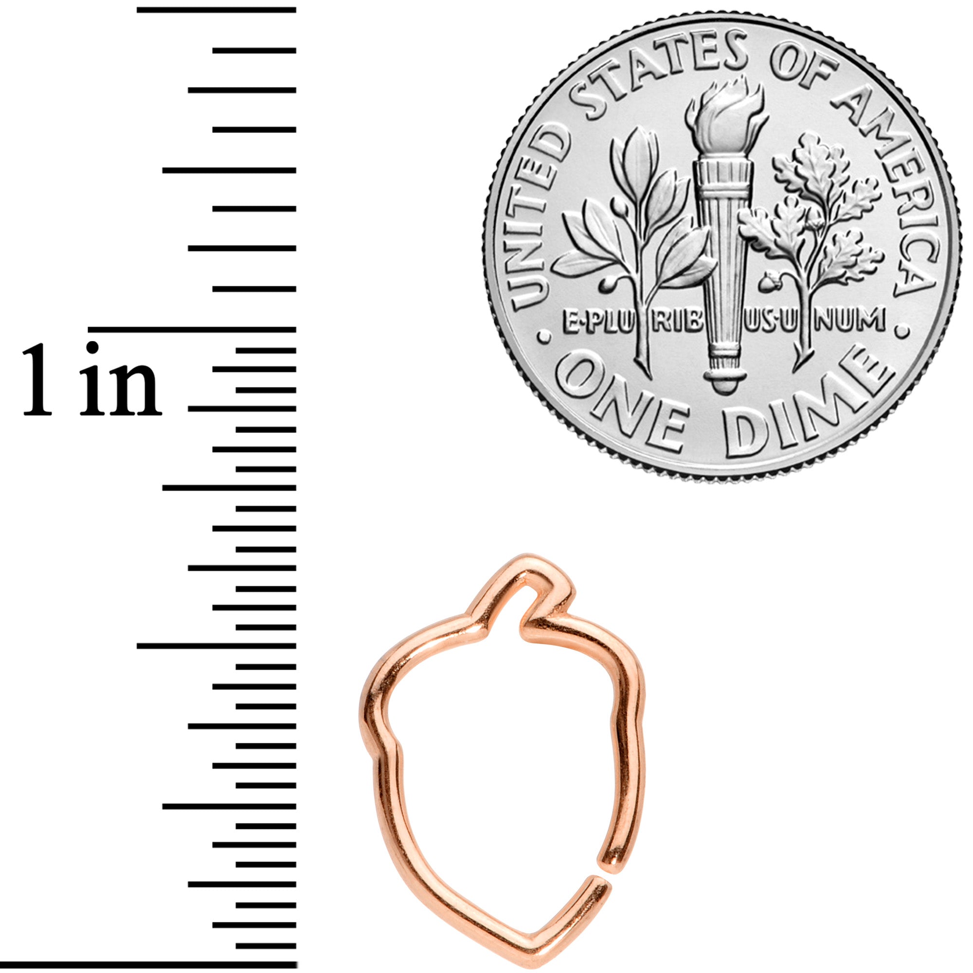 16G 3/8 Rose Gold Tone Autumn Acorn Closure Ring