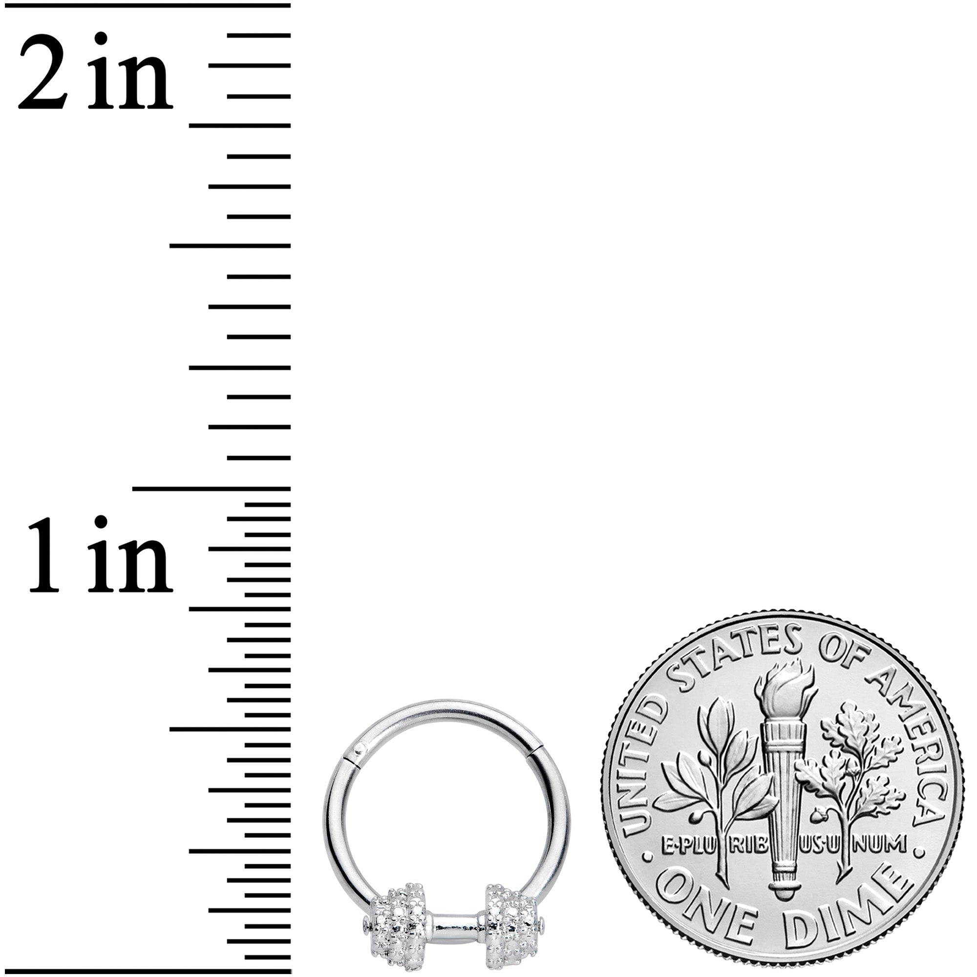 16G 3/8 Weightlifting Barbell Hinged Segment Ring