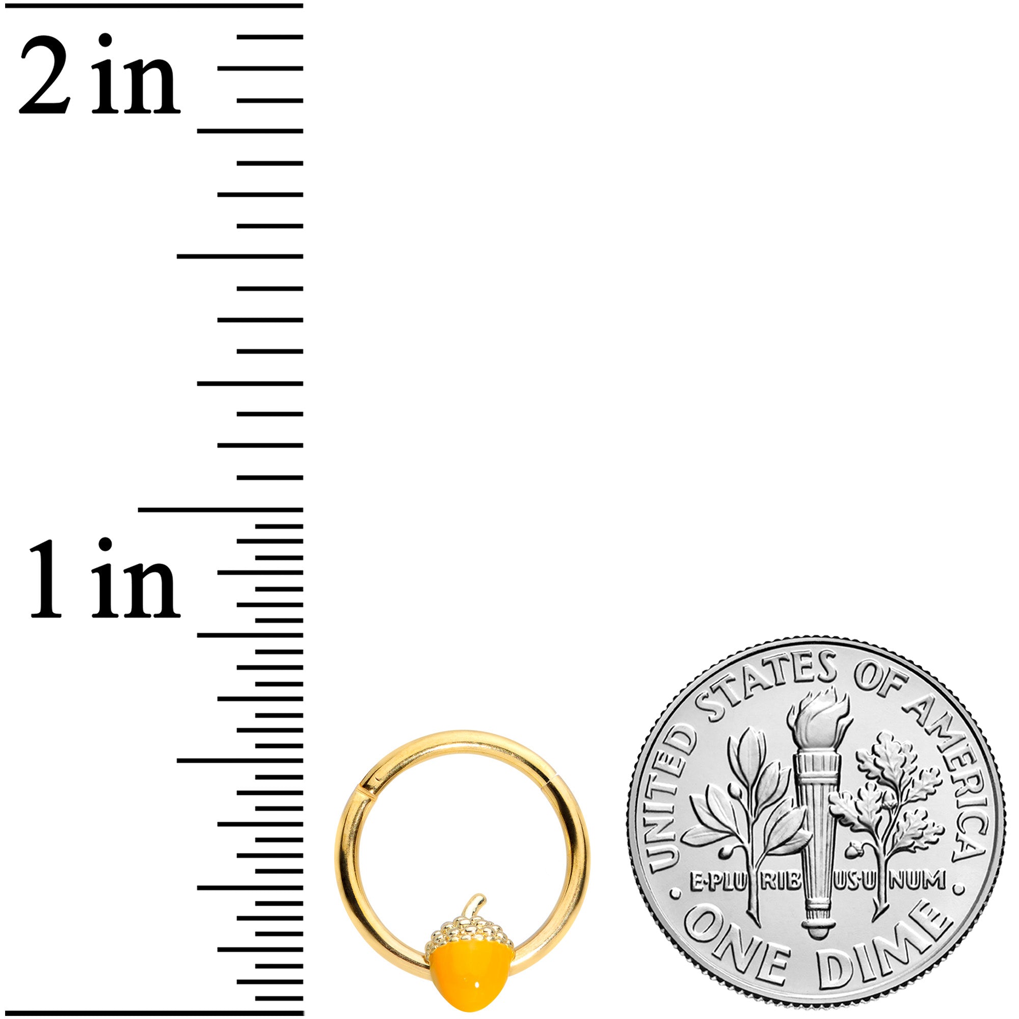 16G 3/8 Gold Tone Orange Acorn Hinged Segment Ring