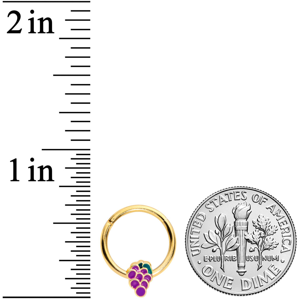 16G 3/8  Gold Tone Sweet Purple Grapes Hinged Segment Ring