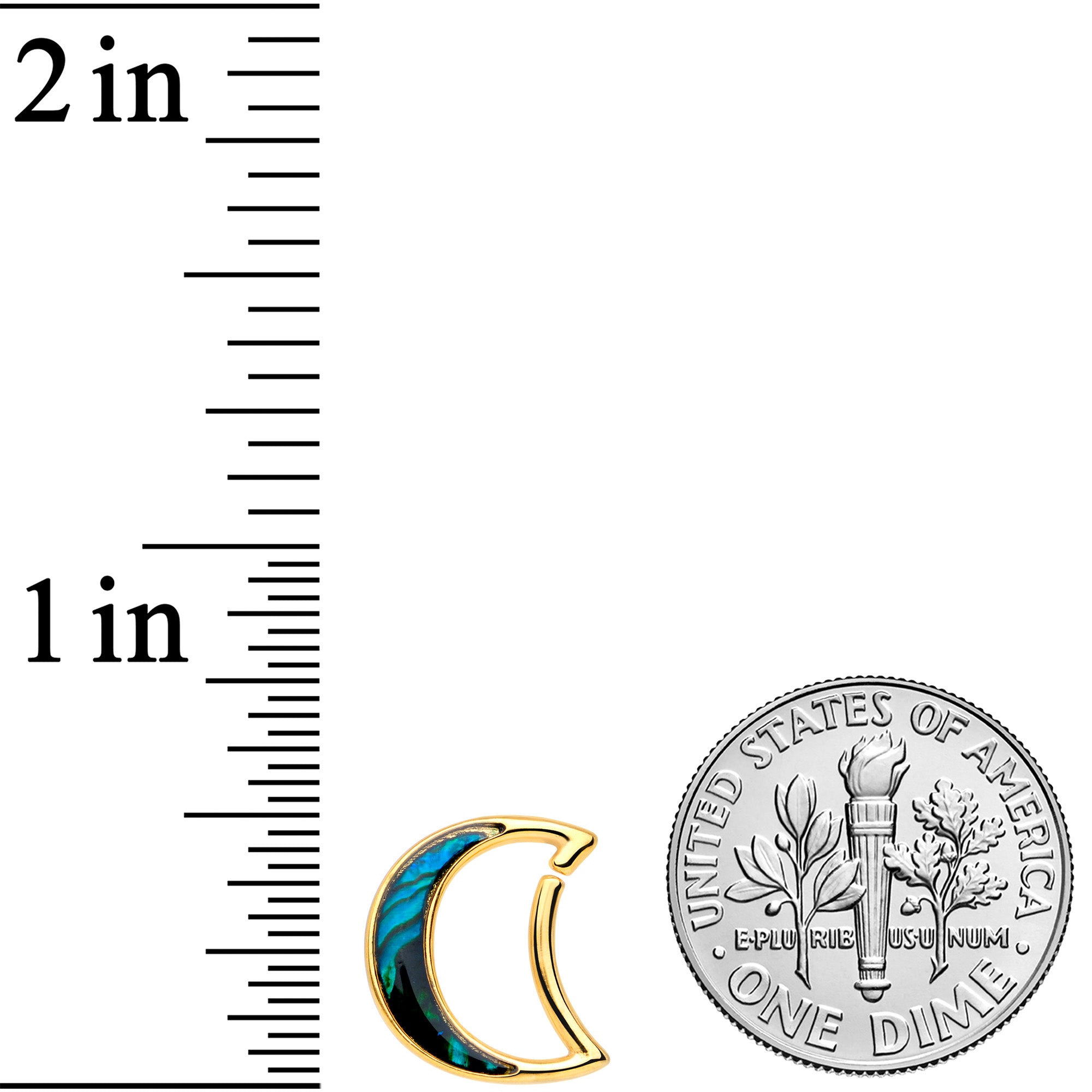 16G 3/8 Gold Tone Moon Sea Right Ear Closure Ring
